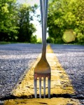 fork-in-the-road
